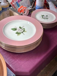 Pink Rim Dinner Plates with Gardenia Motif