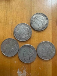 Collection of Morgan and Peace Silver Dollars