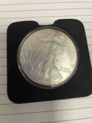 American Silver Eagle Coin (Coin in Capsule)