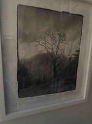 Framed Photographic Print: 'In Early Spring'