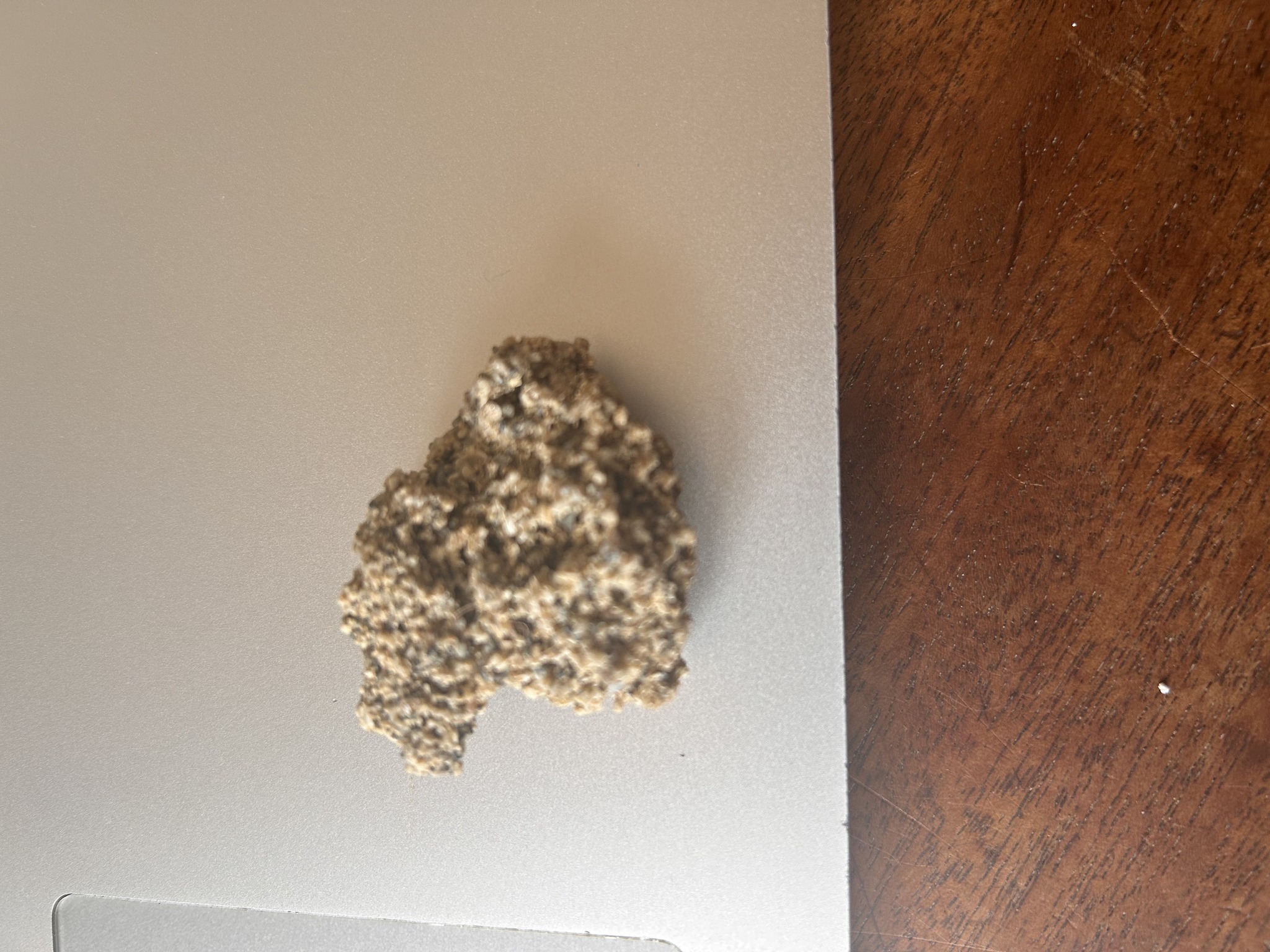 Submitted item photo