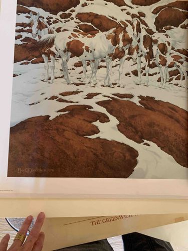 Byrd Dooley "Pintali" Print