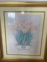 Framed Botanical Print of Daffodils in a Planter