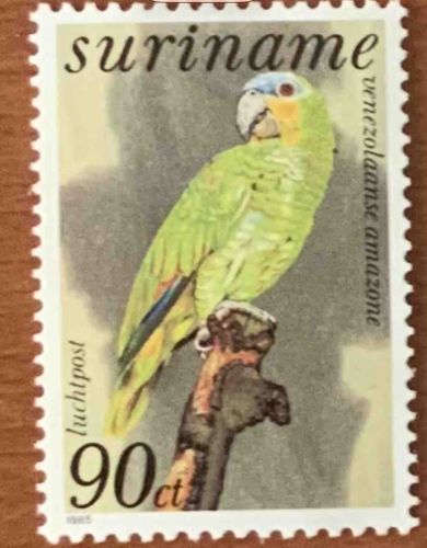 1965 Suriname 90ct Airmail Stamp - Orange-winged Amazon (Amazona amazonica)