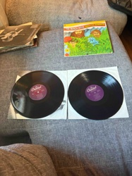 The Beach Boys - Endless Summer Double LP Vinyl Record