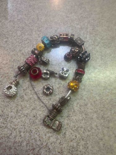 Assorted Charm Bracelet with Loose Charms
