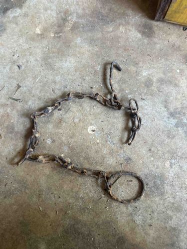 Vintage Animal Tethering Chain