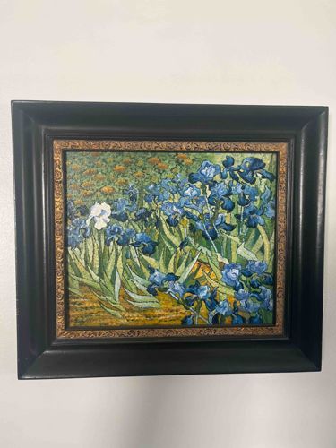 Framed Print of Vincent van Gogh's 'Irises'