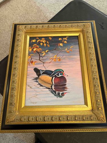 Framed Limited Edition Wood Duck Lithograph by David Maass