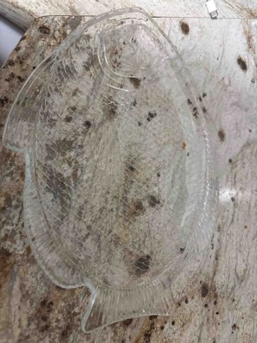Clear Pressed Glass Fish-Shaped Platter
