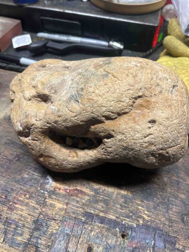 Weather-Worn Sandstone Concretion with Natural Cavities