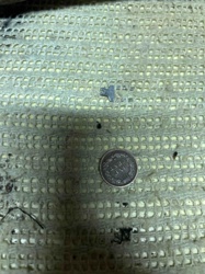 United States One Cent Coin (Indian Head Penny)
