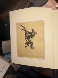 Ink Wash Painting of Rearing Horse on Silk