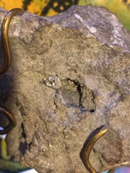 Herkimer Diamond in Matrix with Brass Support