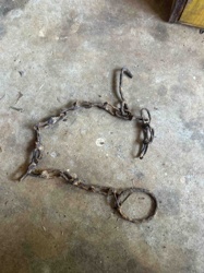 Vintage Animal Tethering Chain