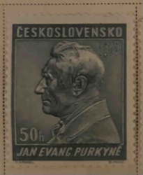 Czechoslovakian 50h Jan Evang. Purkyně Postage Stamp