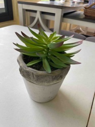 Artificial Succulent Plant in Faux Concrete Rustic Pot
