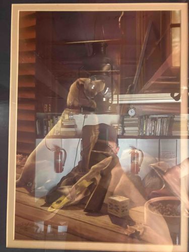 Dog in Attic Print