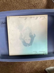 Touch Me in the Morning Vinyl LP by Diana Ross
