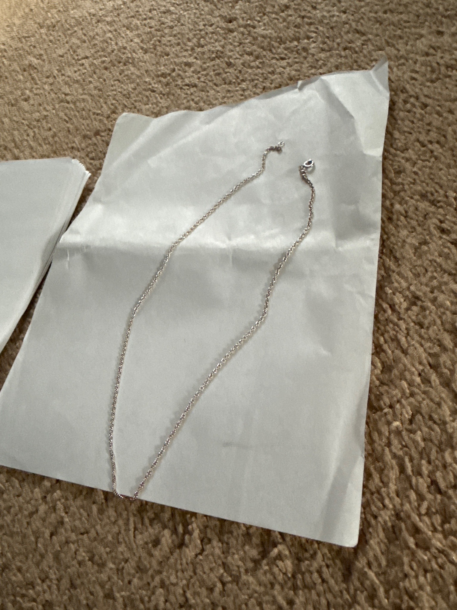 Submitted photo of Silver-tone chain necklace