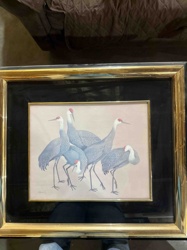 Framed Print of Cranes