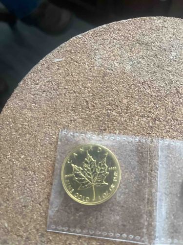 Canadian Gold Maple Leaf Coin (1 oz)