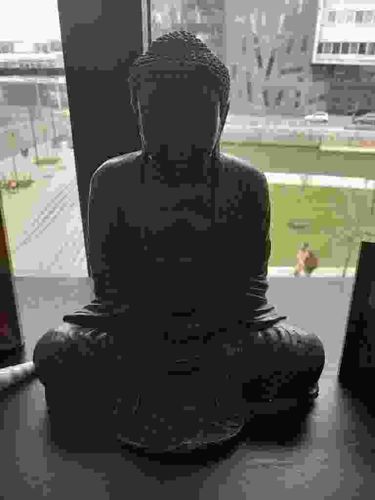 Seated Buddha Statue in Dhyana Mudra