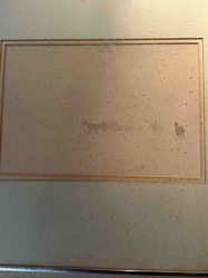 Framed Faded Print with Equine and Bovine Silhouettes