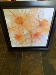 Framed Botanical Art with Skeletal Leaves and Physalis Pods