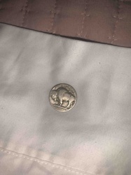 Buffalo Nickel (Reverse Side)