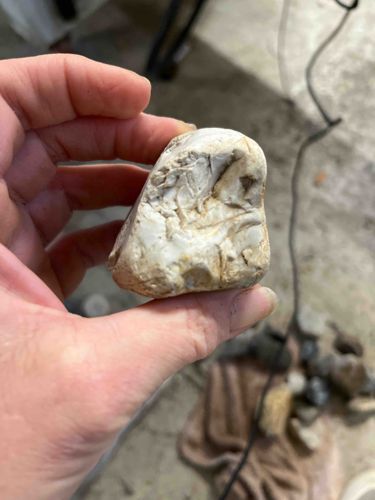 Chert or Flint Nodular Fragment