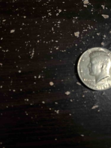 1776-1976 Kennedy Bicentennial Half Dollar