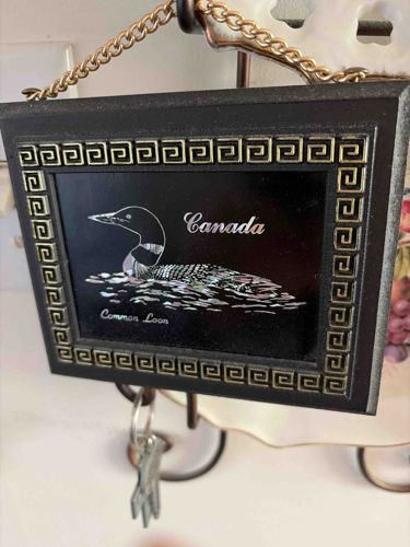 Framed Common Loon Souvenir Plaque from Canada