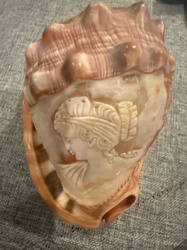 Carved Abalone Shell Cameo