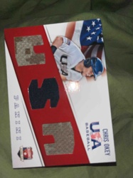 Panini USA Baseball Chris Okey Game-Used Relic Card