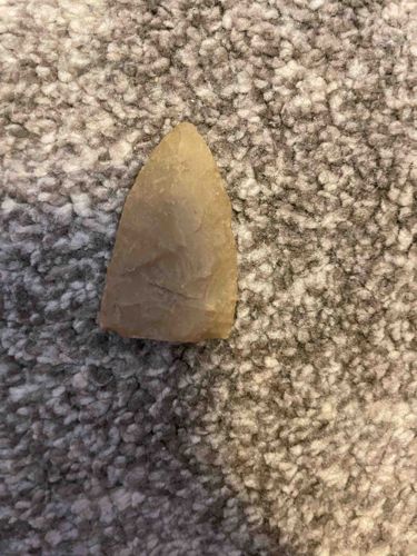 Stone Projectile Point (Arrowhead/Spearhead)