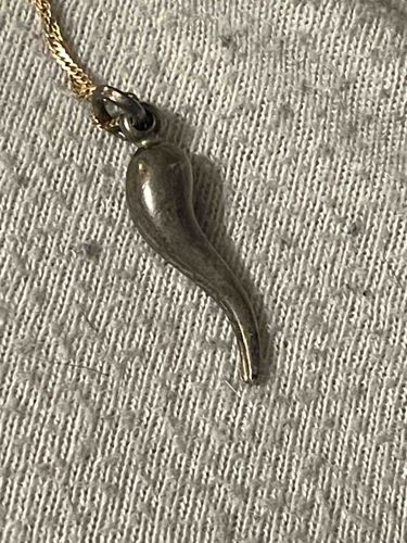Cornicello (Italian Horn) Charm with Gold Chain