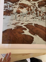 Byrd Dooley "Pintali" Print