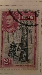 Ceylon 'Tapping Rubber' Postage Stamp (George VI Issue)