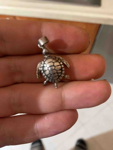 Silver-Tone Turtle Charm/Pendant