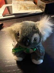 Koala Bear Plush Toy with 'Australia' Ribbon