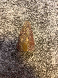 Fossilized Dinosaur Tooth