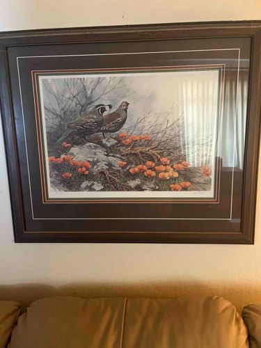 Framed "Quail and Poppies" Wildlife Art Print