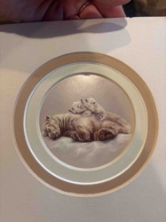 Polar Bear Family Decorative Plate / Framed Print