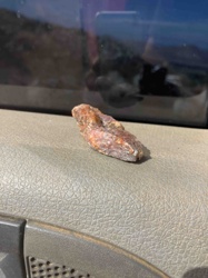 Unidentified Raw Mineral Specimen