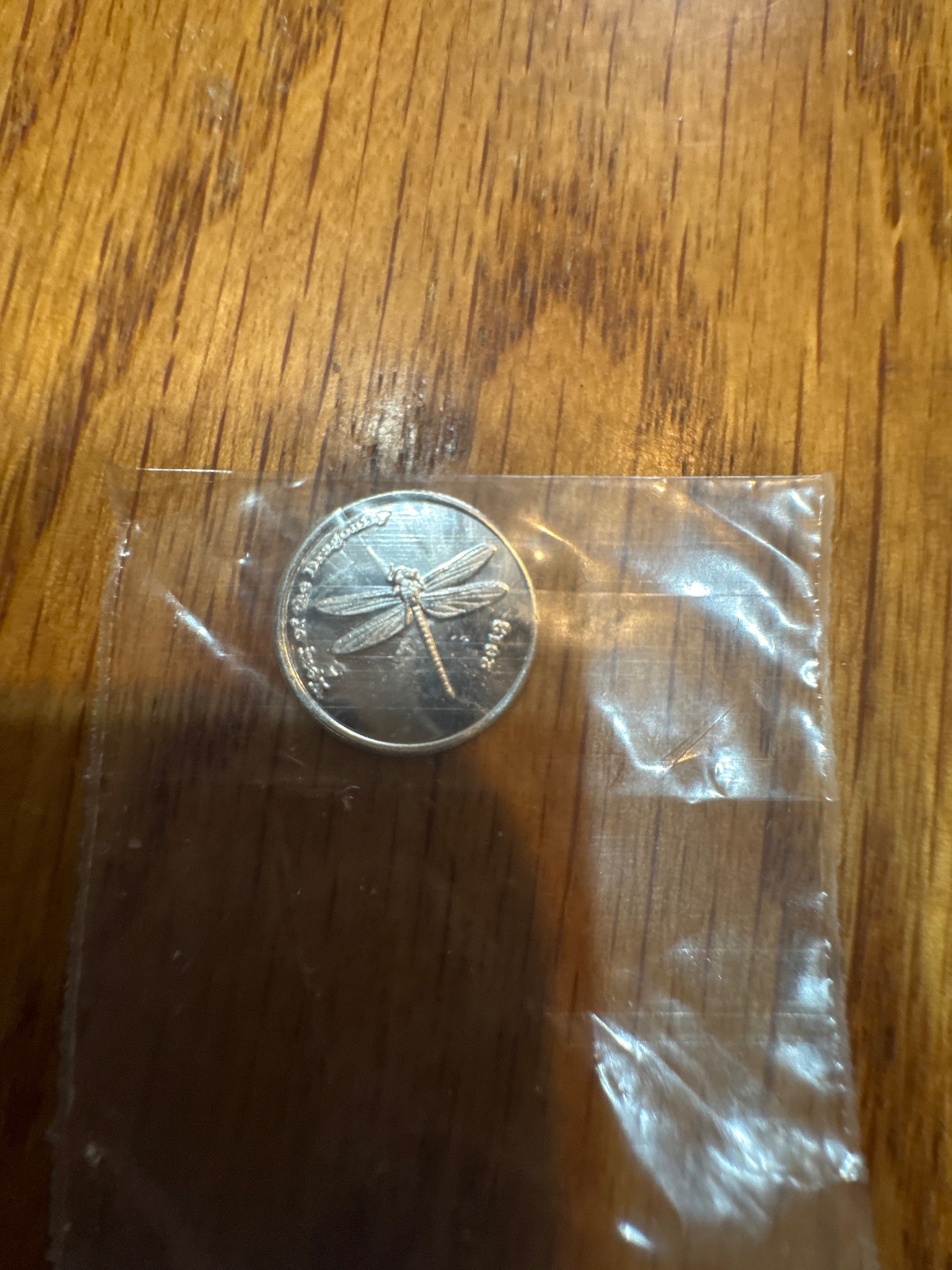 Submitted photo of Silver Medallion with Dragonfly Motif (unauthenticated)