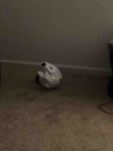 Stormtrooper Helmet Toy/Replica