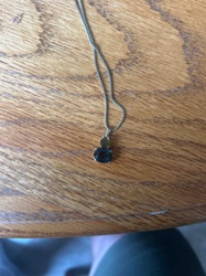 Gold-Tone Necklace with Oval Dark Gemstone Pendant