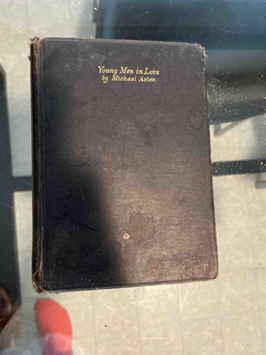 Young Men in Love by Michael Arlen