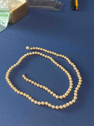 Single Strand Pearl Necklace